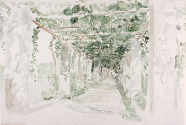 А А Иванов дерево в парке Киджи