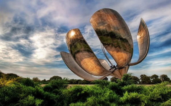 Floralis generica Буэнос Айрес