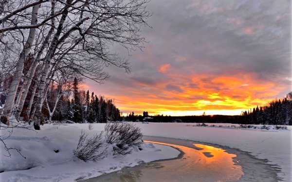 Зимний пейзаж