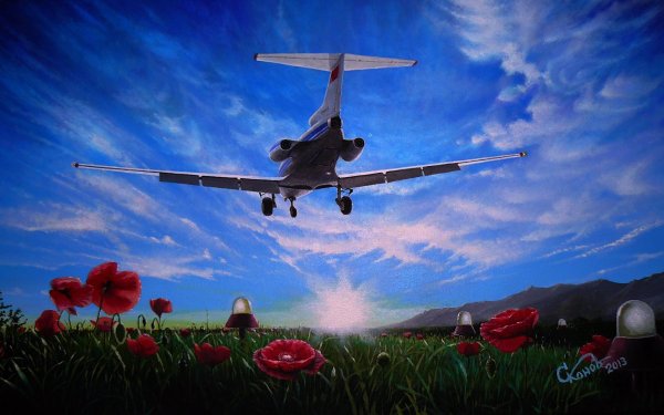 Самолет в небе