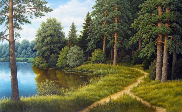 Пейзаж с лесом и тропинкой