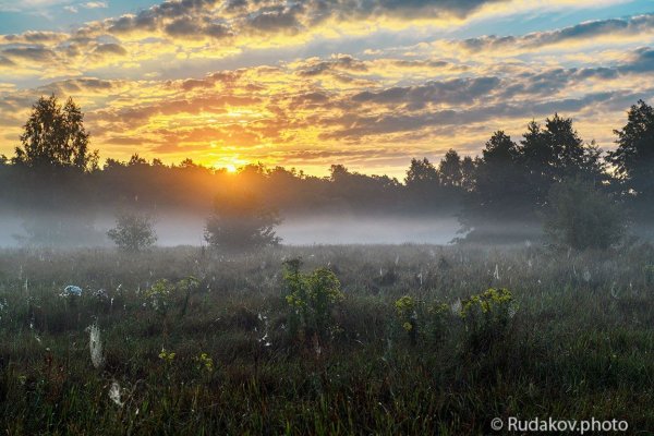 Павлуша Бежин луг портрет