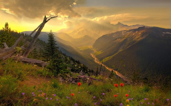 Ставрополье широкая Долина реки горы сосны