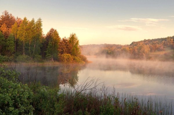 Курск в живописи Сергея Боева