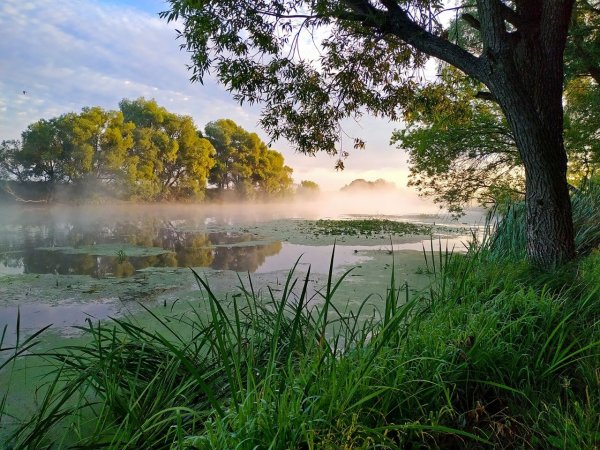 Владимир Воробьев художник Льгов