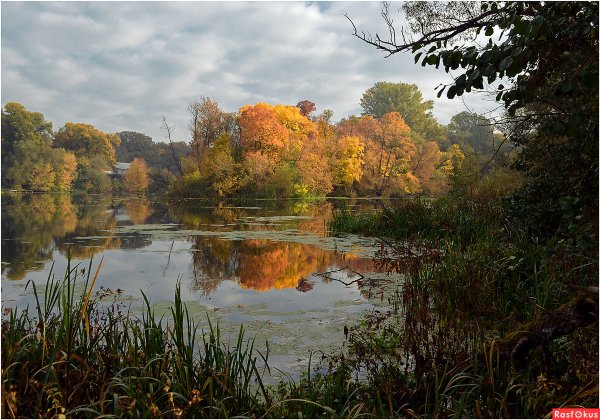 Художник Сергей боев Курск