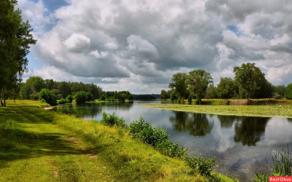 Художник Сергей Воронкин Курск