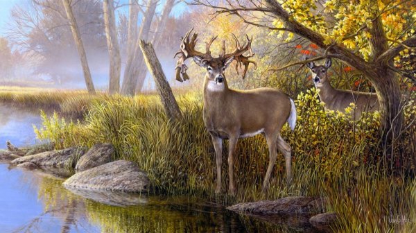 Пейзаж с оленем