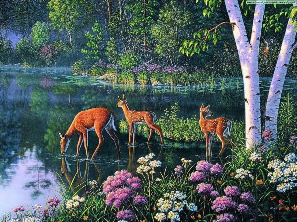 Художник Ким Норлиен (Kim Norlien).