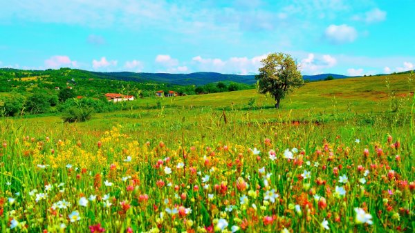 Палусские Луга