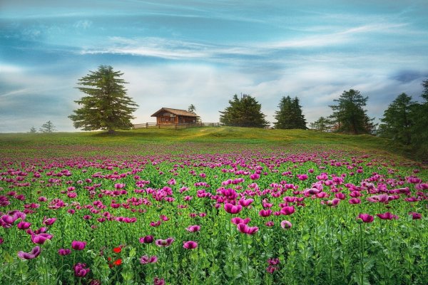 Телевизор сони xh55
