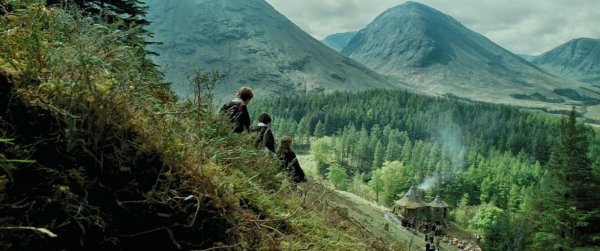 Гарри Поттер и узник Азкабана гремучая Ива