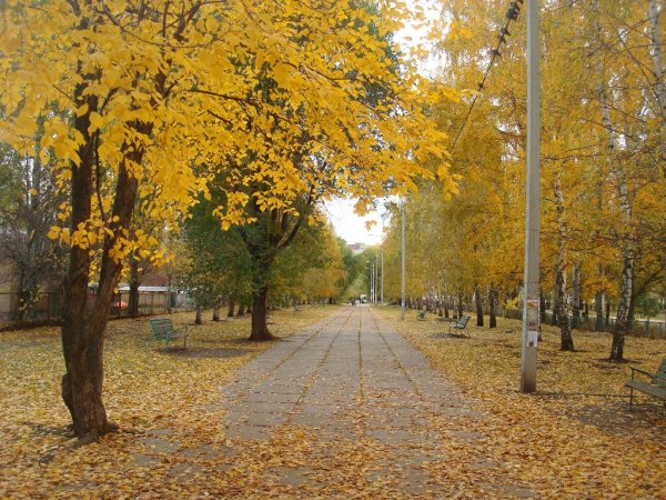 Самара осенью набережная