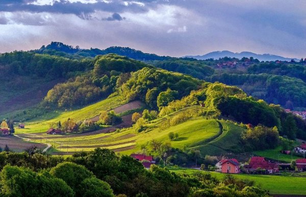 Среднедунайская равнина Венгрия