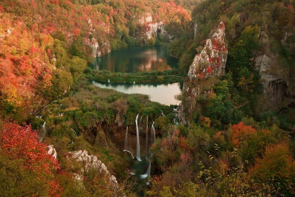 Леса Венгрии