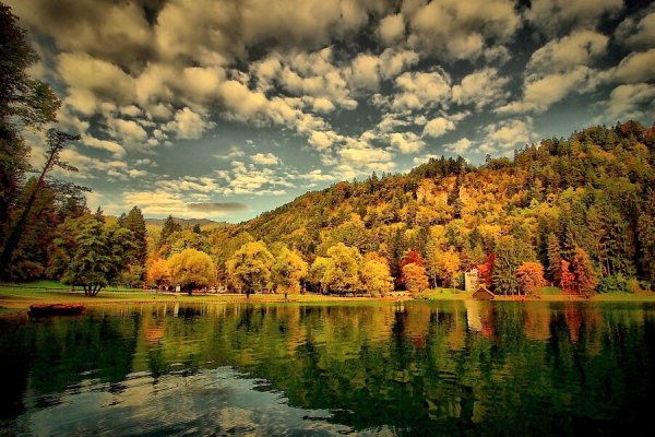 Флора Венгрии