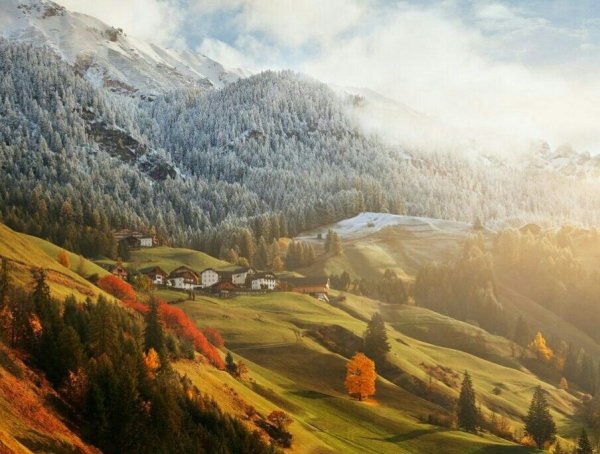 Даниэль Рерича