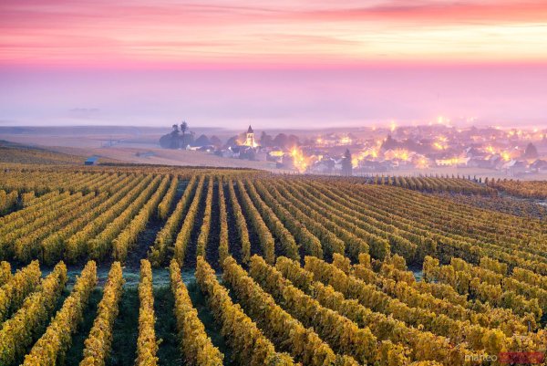 Шампань-Арденны Франция