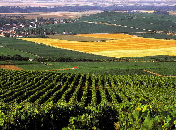 Провинция шампань Франция