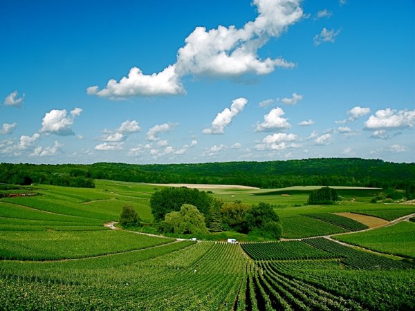 Бургундия Франш-Конте