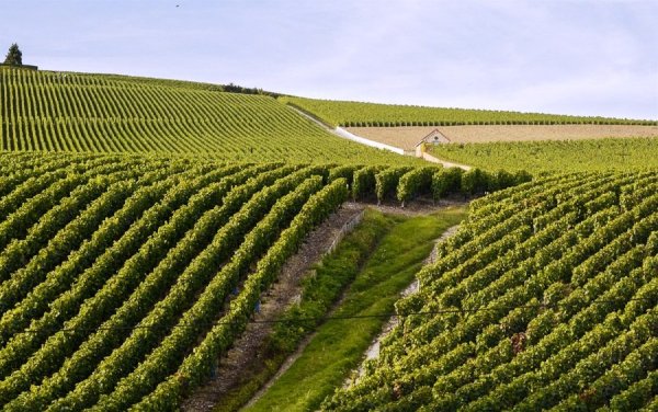 Шампань-Арденны Франция