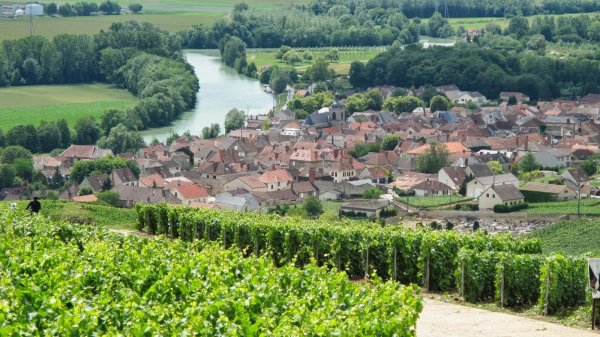 Виноградник в провинции шампань