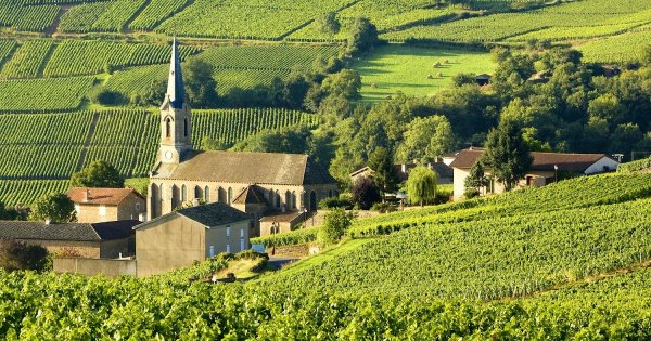 Провинция шампань Франция