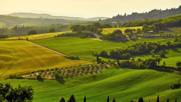 Шампань — Арденны виноградники