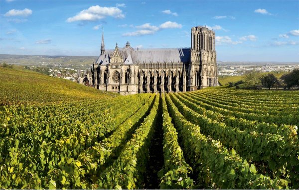 Долина Луары Франция виноделие