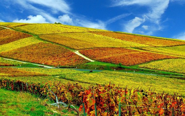 Провинция Эльзас Франция