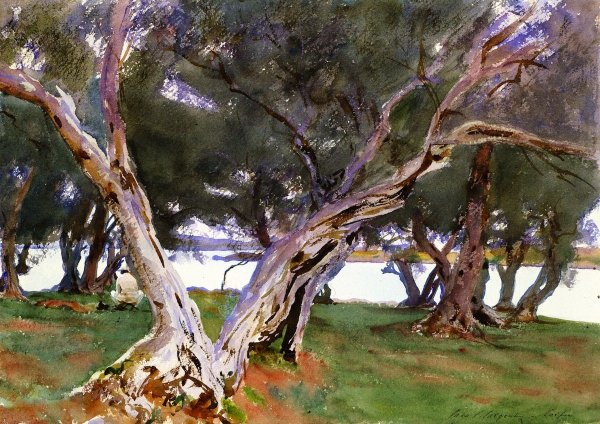 Джон Сингер Сарджент Landscape, Olive Trees, Corfu