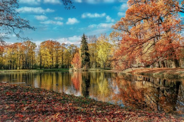 Октябрь пейзаж