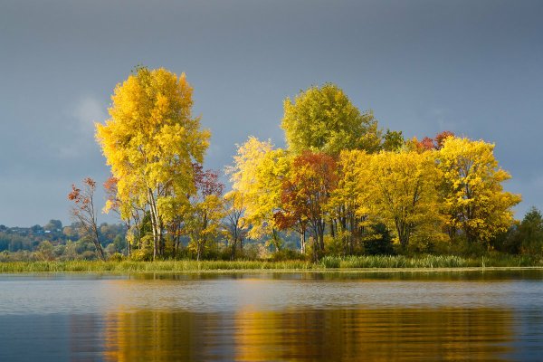 Осень сентябрь