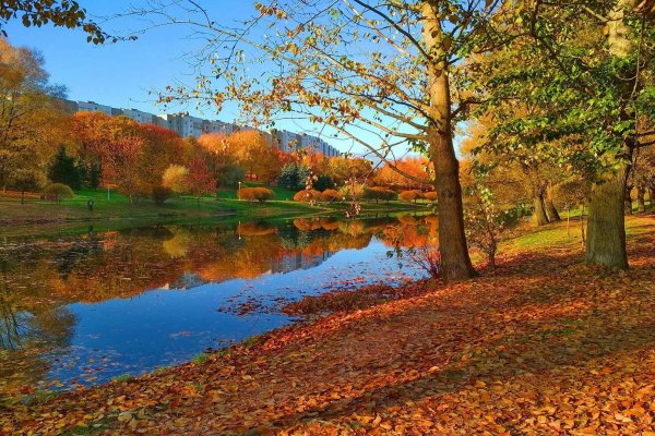 Осень октябрь природа