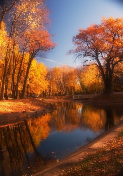 Природа осень