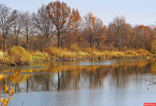 Октябрь пейзаж