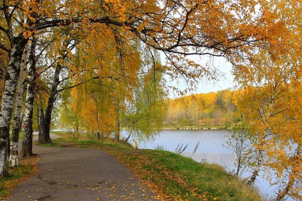 Октябрь природа