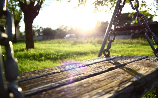 Качели на дереве