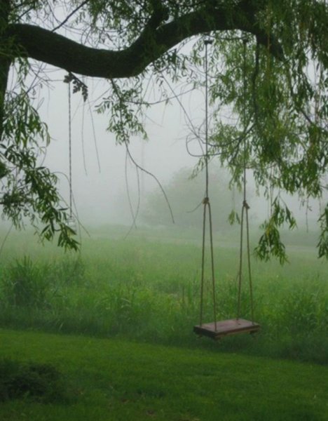 Качели в лесу