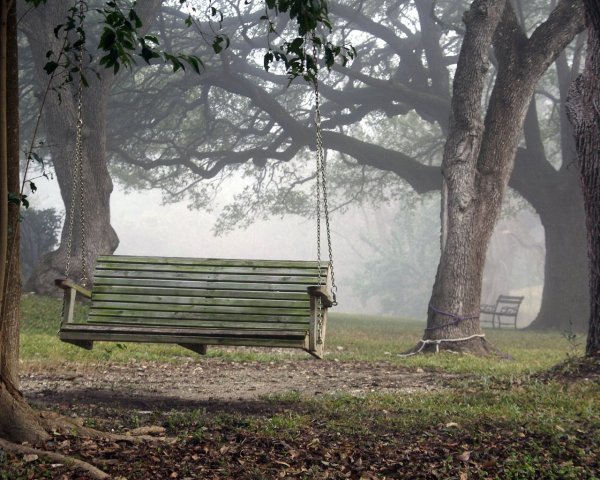 Скамейка на природе