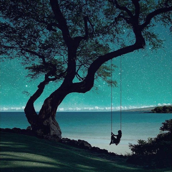 Дерево с качелью