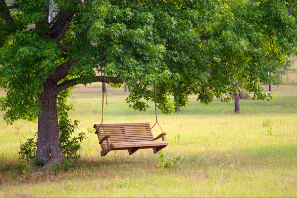 Качели на дереве в деревне