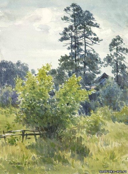 Летние пейзажи Сергея Андрияки