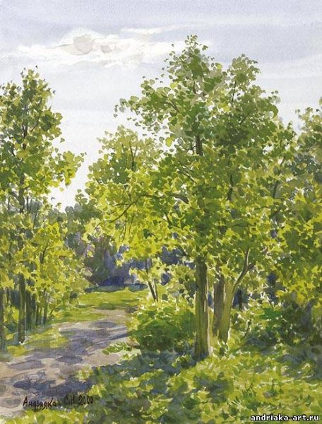 Художник пейзажист Андрияка