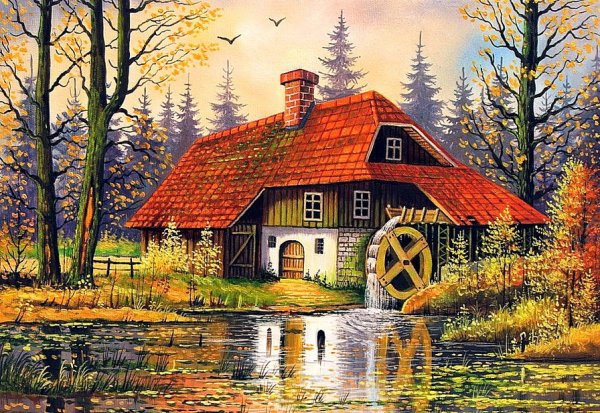 Сказочные пейзажи леса