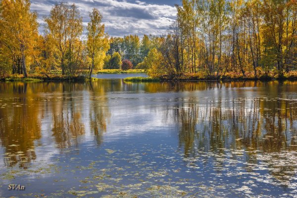 Река Кострома Солигалич