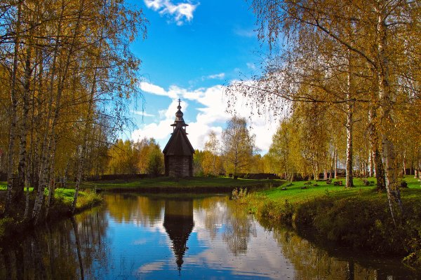 Художник Галина Антонова Кострома