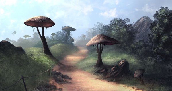 Морровинд арт пейзаж