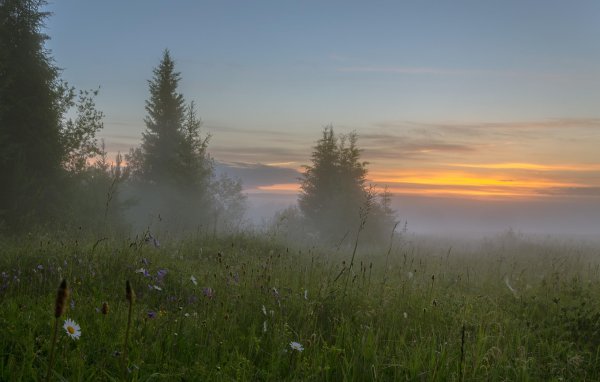 Июньский рассвет пейзаж