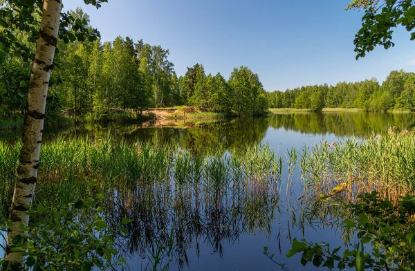 Река Дрезна Тверская область